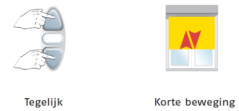 Afstellen Somfy Oximo IO / RTS